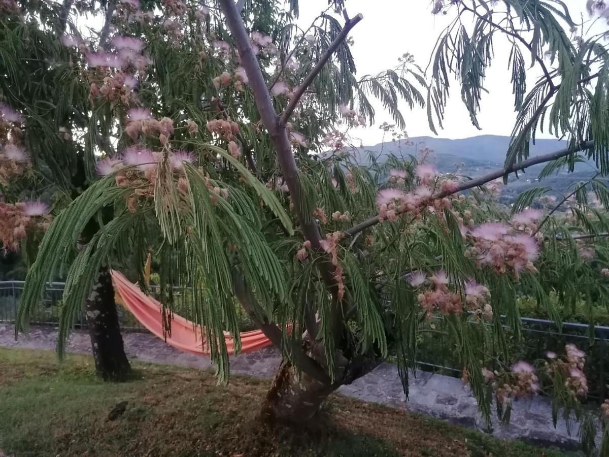 Casina In Pietra Villa ปิสโตยา ภายนอก รูปภาพ